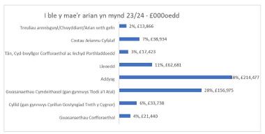 I ble y mae'r arian yn mynd 23/24