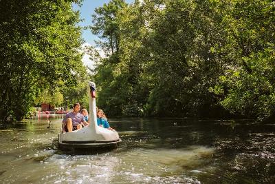 Pedalo, Singleton Park