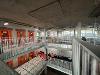 Inside 71/72 Kingsway A
