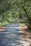 Walking Groups - Clyne Valley