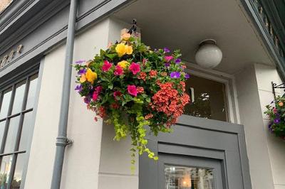 Hanging basket - shop corner.