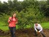 Down to Earth forest gardening.