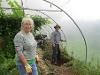 Down to Earth (polytunnel).