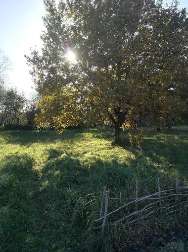 Meadow burial section at Kingsbridge Cemetery