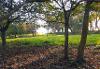 Woodland burial at Oystermouth cemetery Autumn