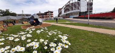 Swansea pop-up park