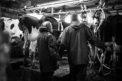 Milking shed black and white (RDP).